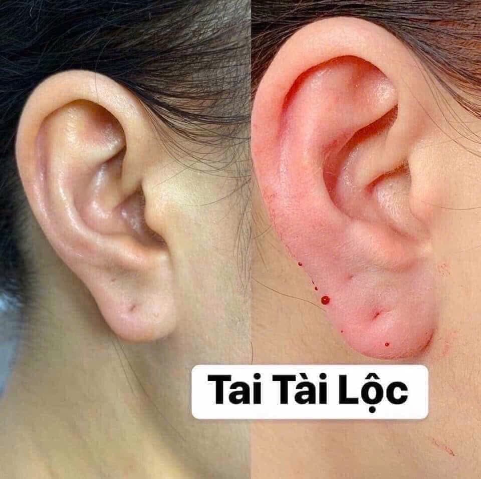 Tạo hình tai phong thủy – Cân đối và tinh tế